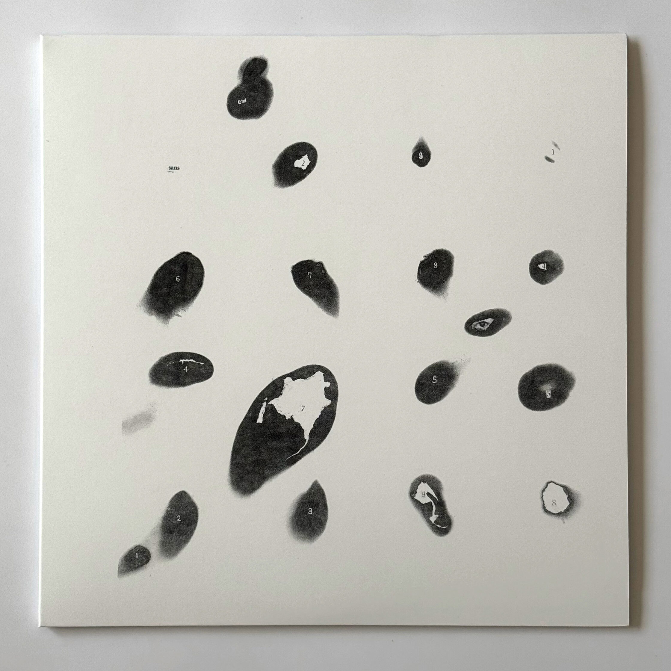 Hiroshi Tanaka & Yoichi Fuwa - Untitled White Album